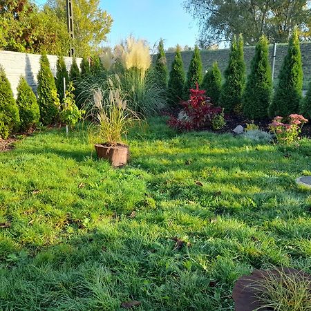 Vila Alpaka-Ranczo Aff Puławy Exteriér fotografie