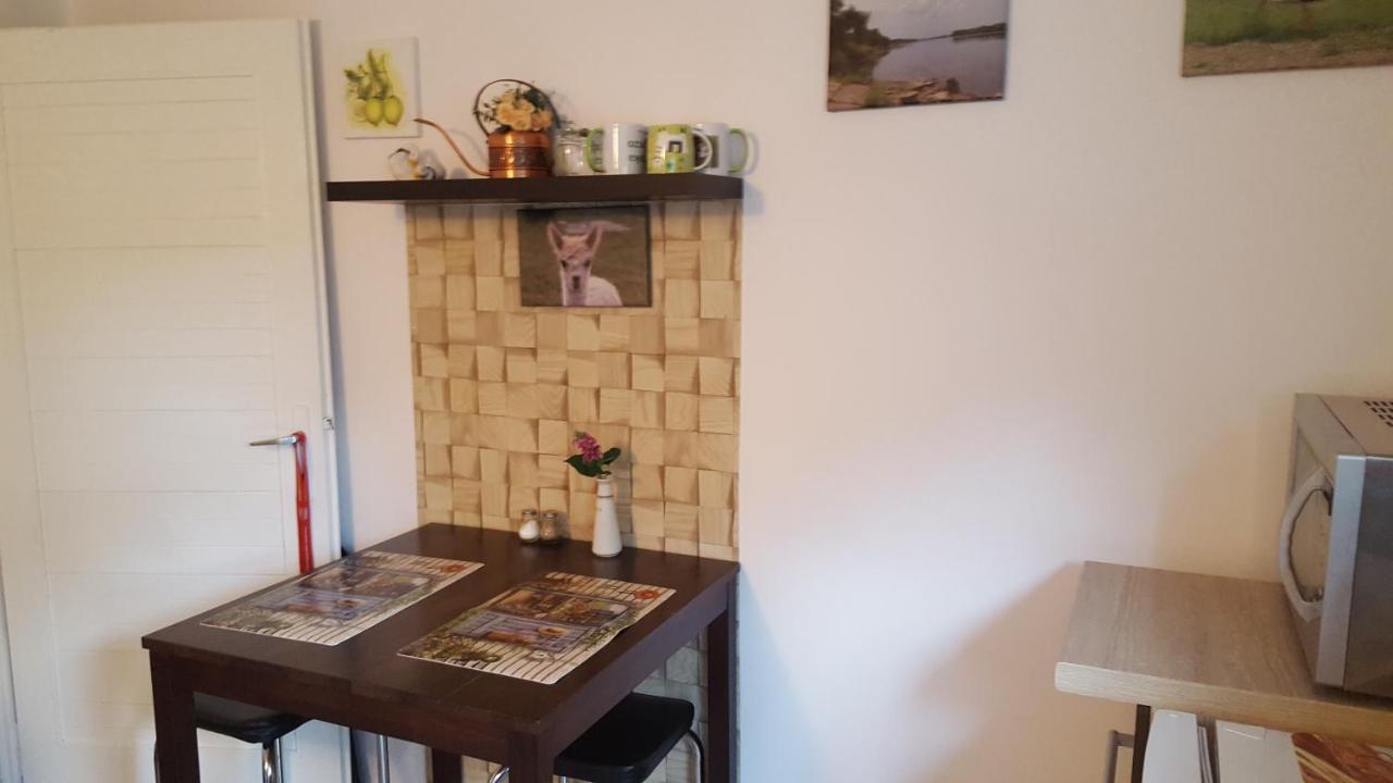 Vila Alpaka-Ranczo Aff Puławy Exteriér fotografie