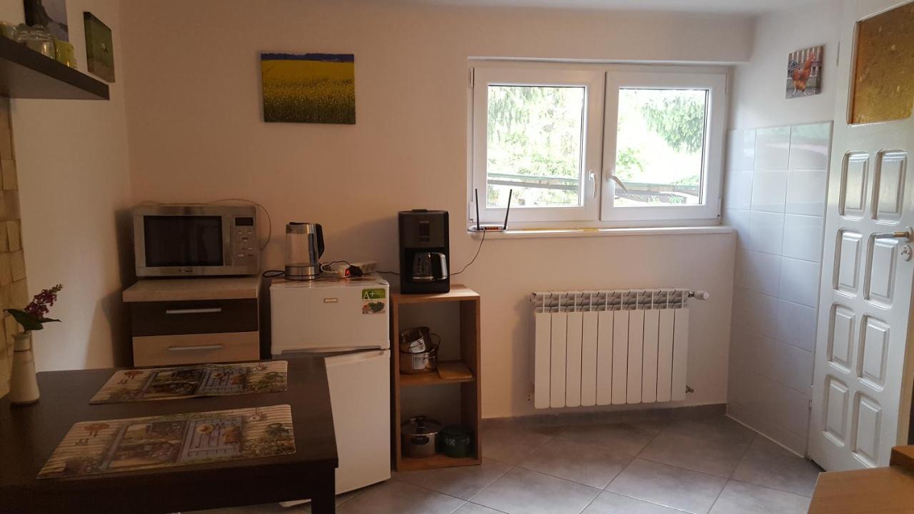 Vila Alpaka-Ranczo Aff Puławy Exteriér fotografie