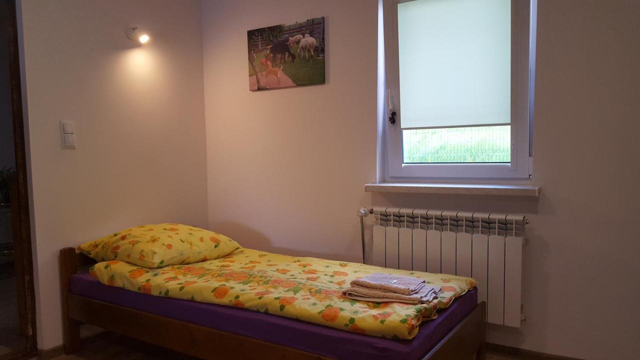 Vila Alpaka-Ranczo Aff Puławy Exteriér fotografie