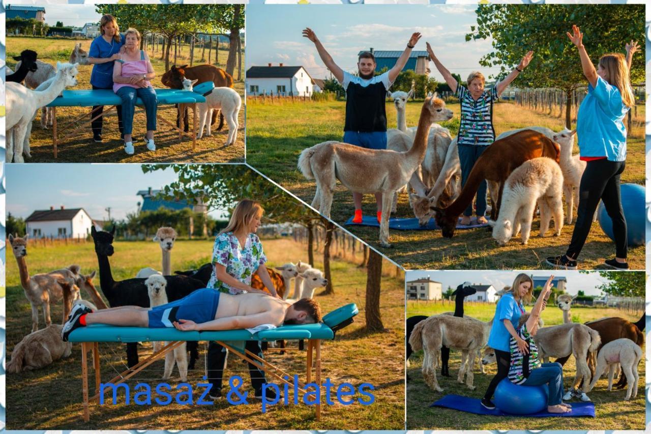 Vila Alpaka-Ranczo Aff Puławy Exteriér fotografie