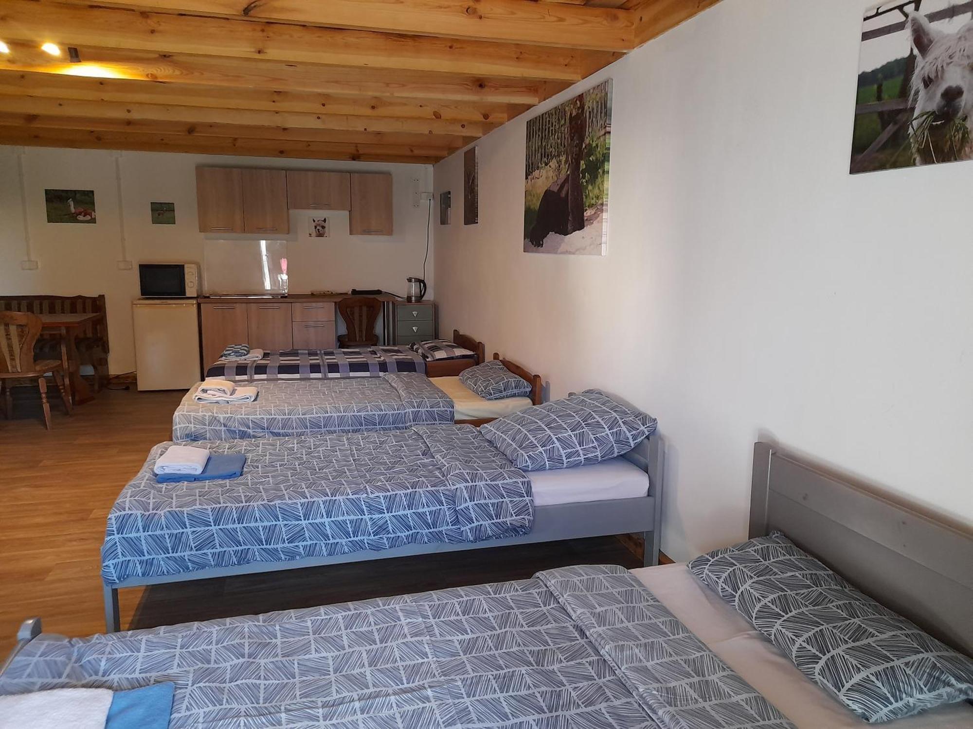 Vila Alpaka-Ranczo Aff Puławy Exteriér fotografie
