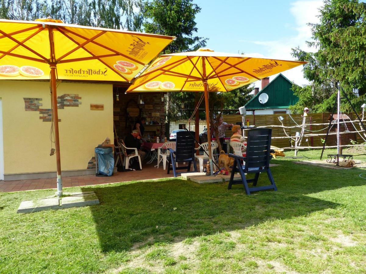 Vila Alpaka-Ranczo Aff Puławy Exteriér fotografie