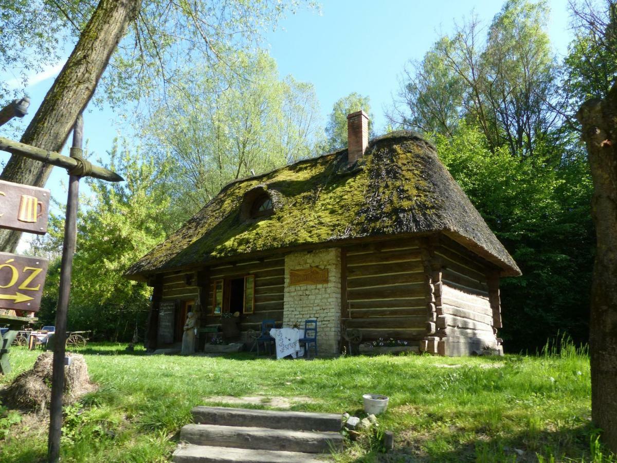 Vila Alpaka-Ranczo Aff Puławy Exteriér fotografie