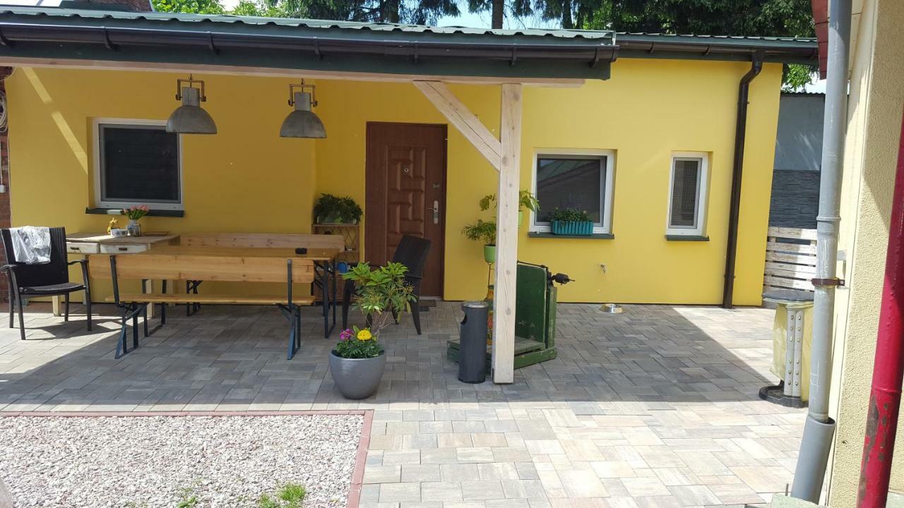 Vila Alpaka-Ranczo Aff Puławy Exteriér fotografie